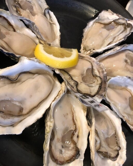 赤坂元気(仮)的实拍高清图
