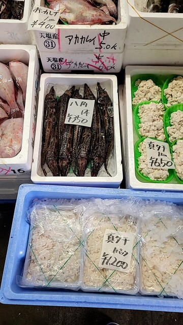 丹野商店的實拍高清圖