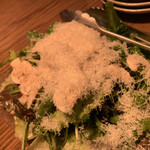 bird酉男man的實拍圖