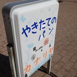 カナリヤ的实拍图