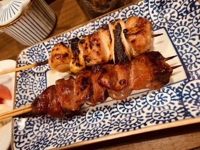 あほう鳥的實拍高清圖