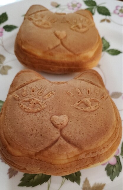 猫間的實拍高清圖