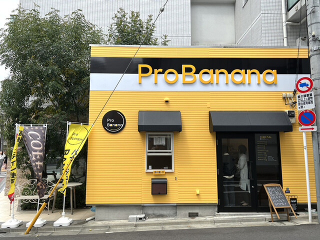 recommendations image for プロバナナ