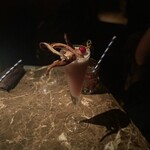 recommendations for ティル・ナ・ノーグ