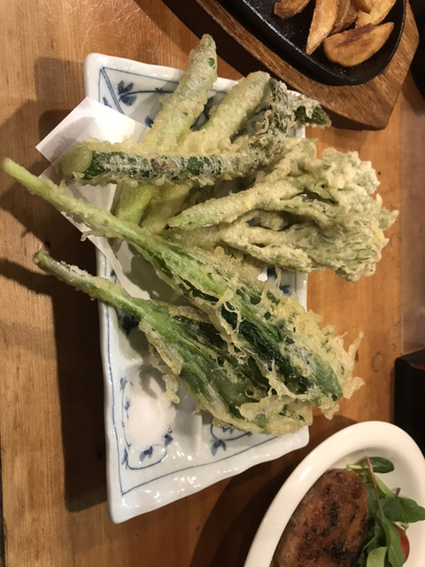 居酒BAR初音的实拍高清图