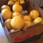 recommendations for お好焼 たつみ