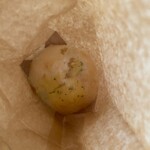 recommendations for HATOKAI BAGLE