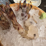 recommendations for 魚屋豪椀
