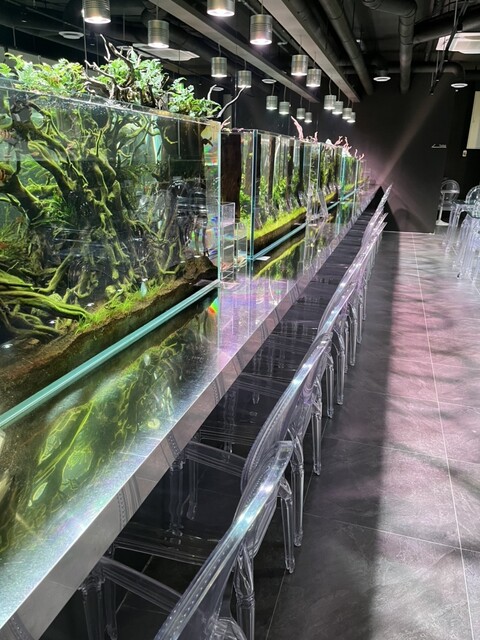 AQUA GARDEN KYOTO的實拍高清圖
