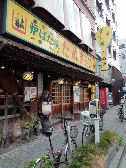 たぬき的實拍高清圖