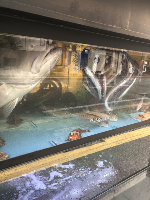 あまの的实拍高清图