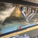 あまの的实拍图