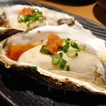 旬菜 てる的实拍图
