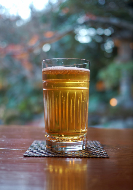 閑臥庵的實拍高清圖