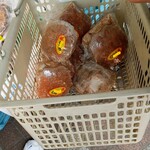 おたる夢市場的實拍圖