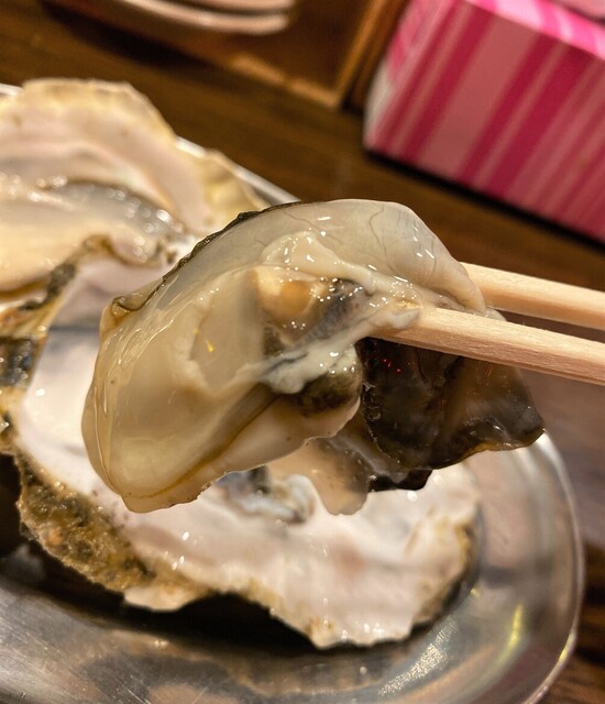 大厚岸的实拍高清图