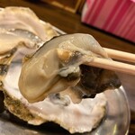 大厚岸的实拍图