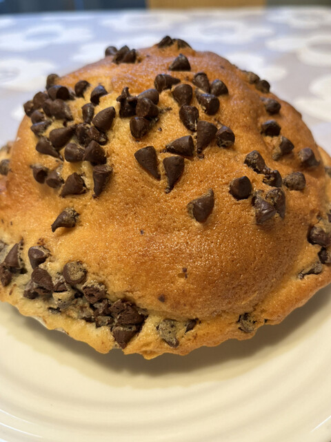 recommendations image for 金太郎パン