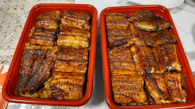 うな武的实拍高清图