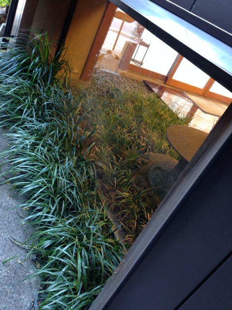 鶴屋吉信的实拍高清图