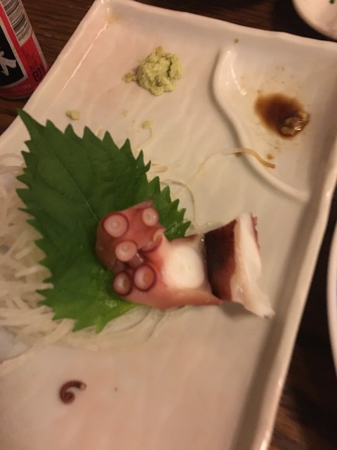 無法松的實拍高清圖