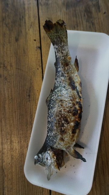 辻野養魚場的實拍高清圖
