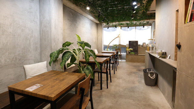 Sonu Sonu的實拍高清圖