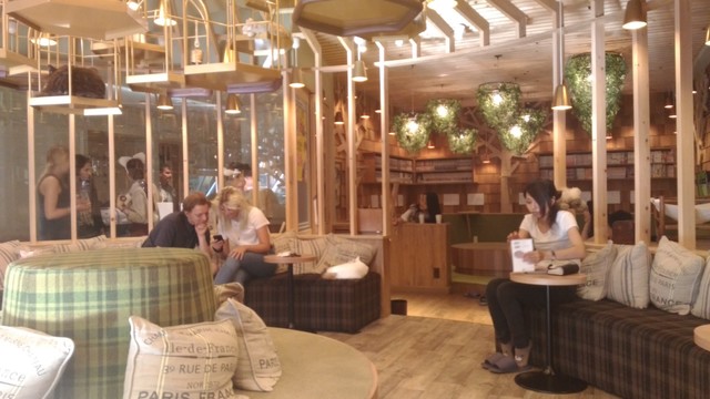 猫カフェMOCHA 秋葉原店的實拍高清圖