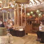 猫カフェMOCHA 秋葉原店的實拍圖