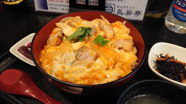 鳥居亭的實拍高清圖