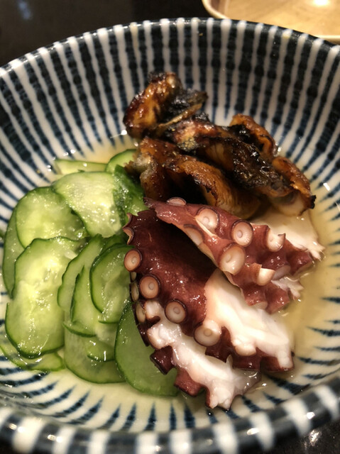 春駒的實拍高清圖