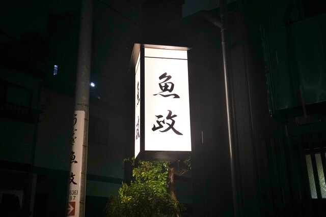 魚政的實拍高清圖