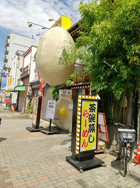 丹頂的实拍高清图