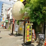 丹頂的实拍图