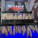 recommendations for ナンマンゴギ
