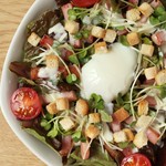 recommendations for くーさん