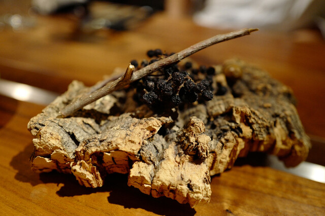 TAKAO的实拍高清图