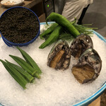 銀座 kappou ukai 肉匠的實拍圖