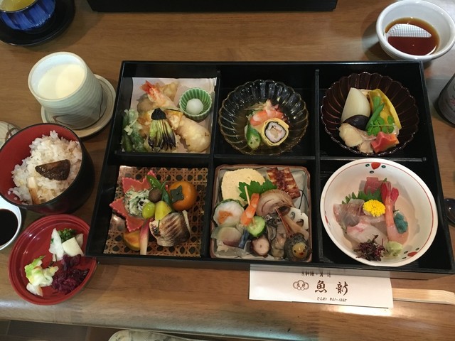 魚新的实拍高清图