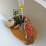 recommendations for テラコヤ