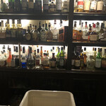 ターラ的实拍图