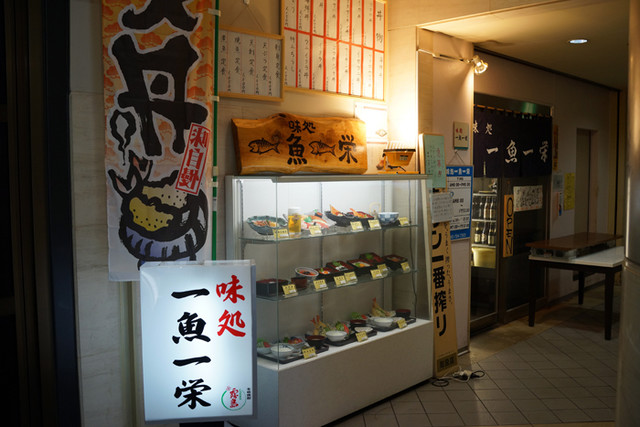 一魚一栄的實拍高清圖