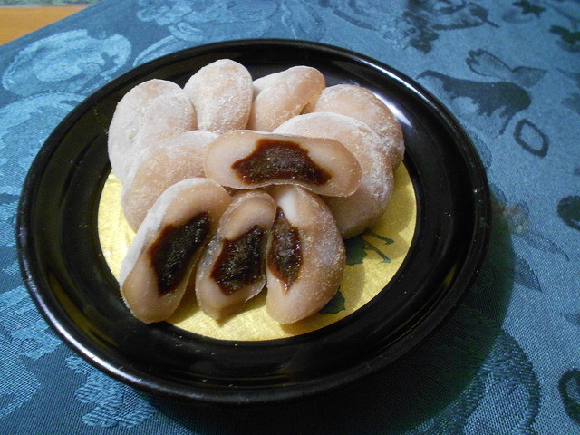 きね箭的实拍高清图