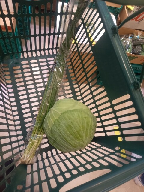 やおや植木商店的实拍高清图