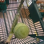 やおや植木商店的实拍图