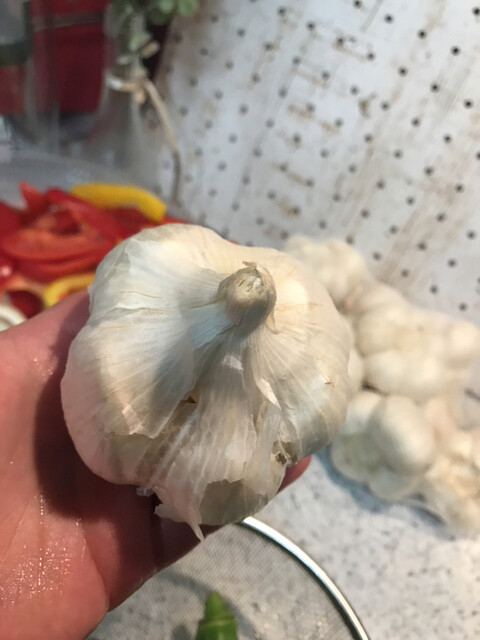 天乃屋 東京工場直売店的實拍高清圖