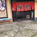 桜樹的实拍图