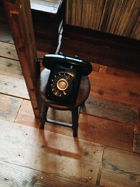 トムネコゴ的實拍圖