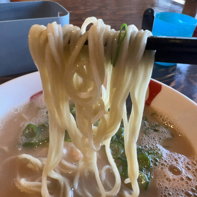 CRAZY  MALT的實拍高清圖