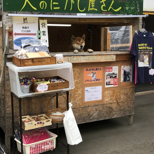 犬のやきいも屋さん的實拍圖